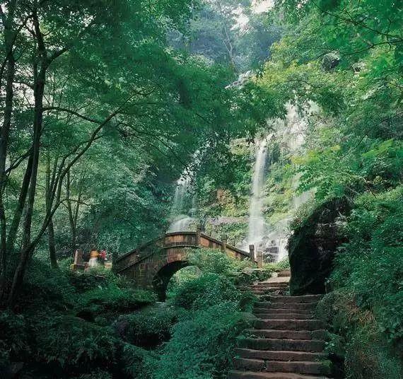 竞技宝one